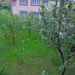 Отель B&B Kamar Армения, Иджеван - отзывы, цены и фото номеров - забронировать отель B&B Kamar онлайн фото 22