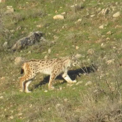 Отель Eco Lodge in the Caucasus Wildlife Refuge Армения, Лусарат - отзывы, цены и фото номеров - забронировать отель Eco Lodge in the Caucasus Wildlife Refuge онлайн фото 6