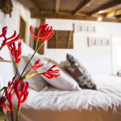 Отель Lisbon Inn Bica Suites детские мероприятия