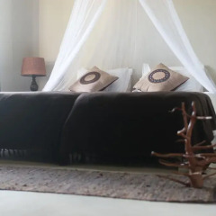 Отель Addo African Home 2* Стандартный номер с различными типами кроватей фото 3