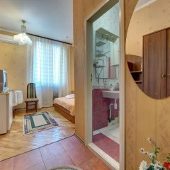 Гостиница Александрия 3* Номер Комфорт с разными типами кроватей фото 6
