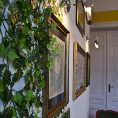 Downtown Hostel Novi Sad Кровать в общем номере фото 5