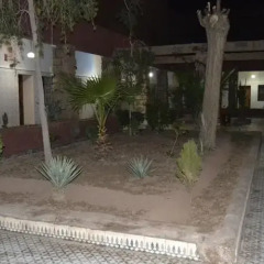 Отель Hôtel La Gazelle Ouarzazate Марокко, Уарзазат - отзывы, цены и фото номеров - забронировать отель Hôtel La Gazelle Ouarzazate онлайн фото 9