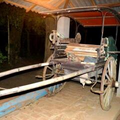 Отель Dark Horse Resort Yala питание