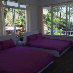 Отель Pine Hill Homestay Dalat комната для гостей фото 4