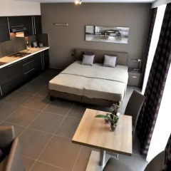 Отель Pegasus Apparthotel Brussels Expo Atomium в номере
