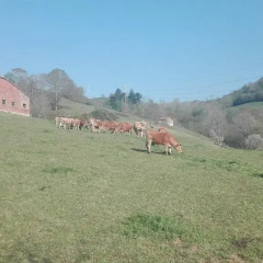 Отель El Balcón de Onís спортивное сооружение