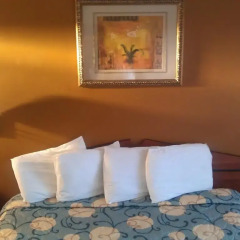 Отель Rodeway Inn Culver City 2* Стандартный номер с различными типами кроватей фото 5