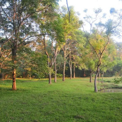 Отель Water's Edge Anuradhapura Шри-Ланка, Анурадхапура - отзывы, цены и фото номеров - забронировать отель Water's Edge Anuradhapura онлайн спортивное сооружение
