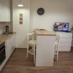 Отель Raugyklos Apartamentai Вильнюс в номере