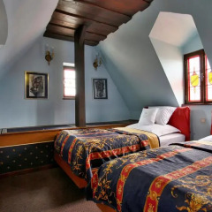 Hotel U Páva комната для гостей фото 4