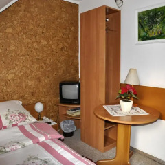 Hotel Daria Dworek Myśliwski 2* Стандартный номер с различными типами кроватей фото 2