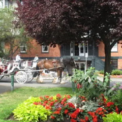 Отель James Bay Inn Hotel, Suites & Cottage Канада, Виктория - отзывы, цены и фото номеров - забронировать отель James Bay Inn Hotel, Suites & Cottage онлайн фото 4