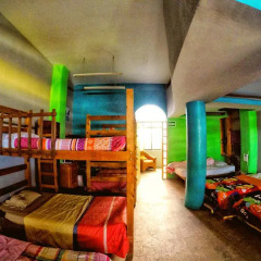 Baja's Cactus Hostel Стандартный номер с различными типами кроватей фото 5