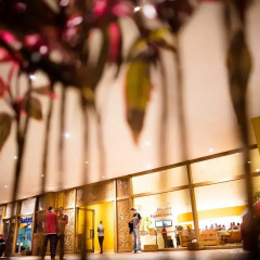 Hotel Misión Guadalajara Carlton гостиничный бар