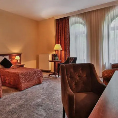 Grand Hotel Stamary Wellness & Spa 4* Номер Делюкс с различными типами кроватей фото 5