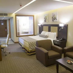 Olive Tree Hotel Amman 4* Люкс с различными типами кроватей фото 5