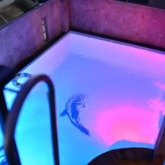Отель Beehive Phuket Old Town - Hostel Таиланд, Пхукет - отзывы, цены и фото номеров - забронировать отель Beehive Phuket Old Town - Hostel онлайн бассейн фото 2