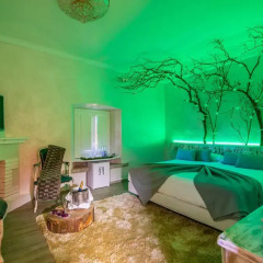 Sallés Hotel Mas Tapiolas 4* Стандартный номер с двуспальной кроватью фото 25