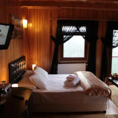 Villa de Pelit Hotel 3* Стандартный номер с различными типами кроватей фото 27