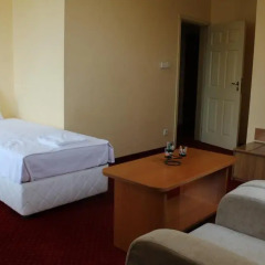 Отель Alegro Hotel Болгария, Велико Тырново - 1 отзыв об отеле, цены и фото номеров - забронировать отель Alegro Hotel онлайн удобства в номере