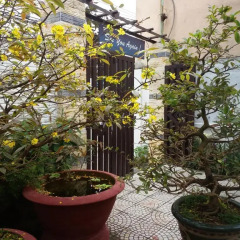 Отель Vip Garden Homestay Хойан фото 5