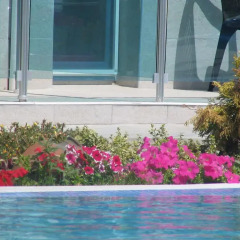 Hotel Blue Bay бассейн