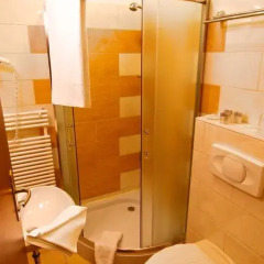 Le Rose Hotel 3* Стандартный номер с различными типами кроватей фото 8