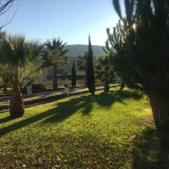 Отель Quinta De Santa Maria D' Arruda пляж