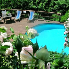 Отель Villa Rose Antiche Италия, Реггелло - отзывы, цены и фото номеров - забронировать отель Villa Rose Antiche онлайн бассейн фото 3