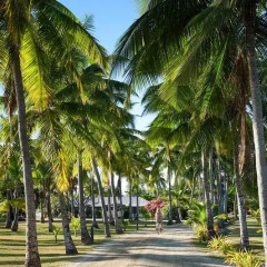 Отель Musket Cove Island Resort & Marina 4* Стандартный номер с различными типами кроватей фото 6