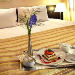 Гостиница Holiday Inn Chelyabinsk - Riverside в номере