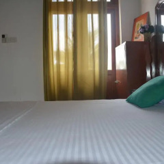 Отель Olive Tree Guest House Стандартный номер с различными типами кроватей фото 9