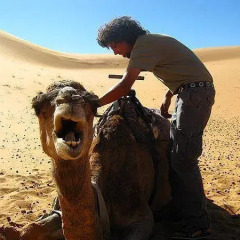 Отель Morocco Desert Trek Марокко, Мерзуга - отзывы, цены и фото номеров - забронировать отель Morocco Desert Trek онлайн с домашними животными