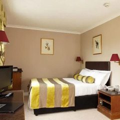 The Bannatyne Spa Hotel 4* Стандартный номер с различными типами кроватей