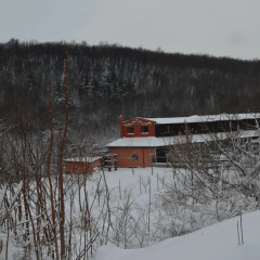 Отель Complex Manastirski Chiflik Болгария, Свиштов - отзывы, цены и фото номеров - забронировать отель Complex Manastirski Chiflik онлайн приотельная территория