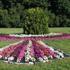 Гостиница База Отдыха Кленовая Роща в Спасске 2 отзыва об отеле, цены и фото номеров - забронировать гостиницу База Отдыха Кленовая Роща онлайн Спасск фото 3