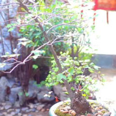 Ganzhou Qixi International Youth Hostel фото 6