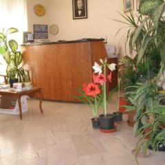 Lotus Hotel Сиде интерьер отеля фото 2