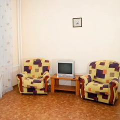 Гостиница Серый Лис Стандартный номер разные типы кроватей фото 5