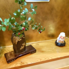 Kinugawa Kokusai Hotel Никко удобства в номере фото 2