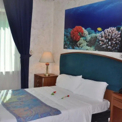 New Park Hotel 2* Стандартный номер с двуспальной кроватью фото 5
