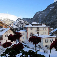 Отель Albergo Rizzi Долина Валь-ди-Фасса
