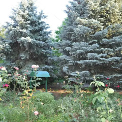 Гостиница Villa Lucia