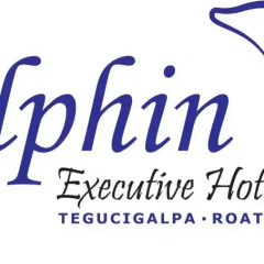 Отель Dolphin Hotel Гондурас, Тегусигальпа - отзывы, цены и фото номеров - забронировать отель Dolphin Hotel онлайн с домашними животными