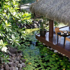 Отель Sofitel Fiji Resort And Spa Фиджи, Вити-Леву - отзывы, цены и фото номеров - забронировать отель Sofitel Fiji Resort And Spa онлайн фото 2