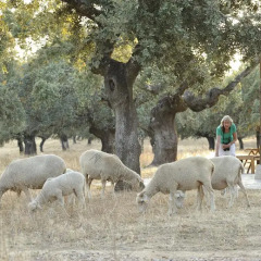 Отель Finca Las Abubillas фото 4