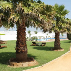 Отель Alojamiento Rural "El Charco del Sultan" Испания, Кониль-де-ла-Фронтера - отзывы, цены и фото номеров - забронировать отель Alojamiento Rural "El Charco del Sultan" онлайн пляж