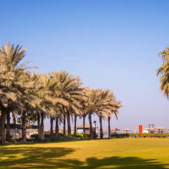 Отель Coral Beach Resort - Sharjah ОАЭ, Шарджа - 8 отзывов об отеле, цены и фото номеров - забронировать отель Coral Beach Resort - Sharjah онлайн фото 3