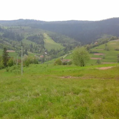 Гостиница Guest House Magnat Украина, Волосянка - отзывы, цены и фото номеров - забронировать гостиницу Guest House Magnat онлайн